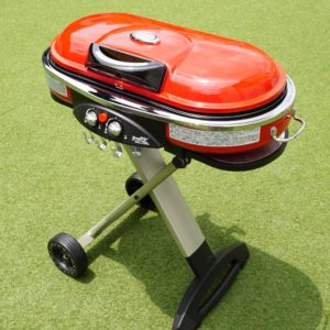 ロードトリップ(専用オプション付)