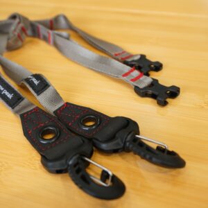 ロングデイジー