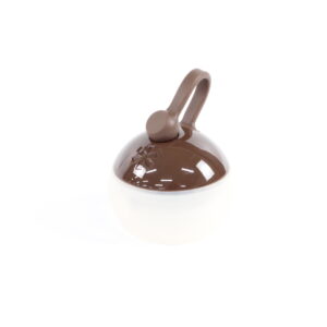 たねほおずき　つち