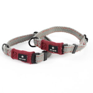 SPソフトカラーS　2個セット