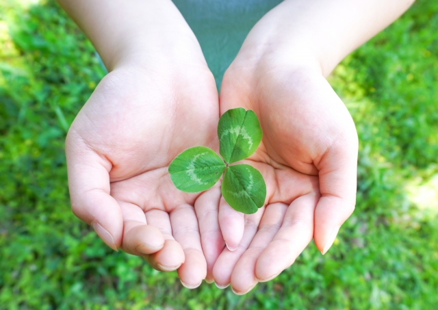 持続可能な環境