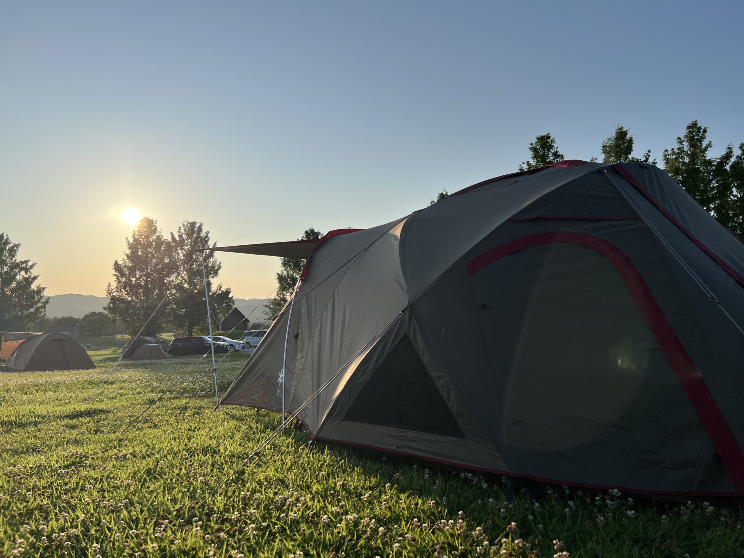 朝日に照らされるキャンプサイト